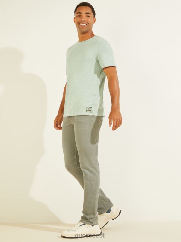 dustin tee matcha tolm GUESS kehakate mehed BB4BB4078